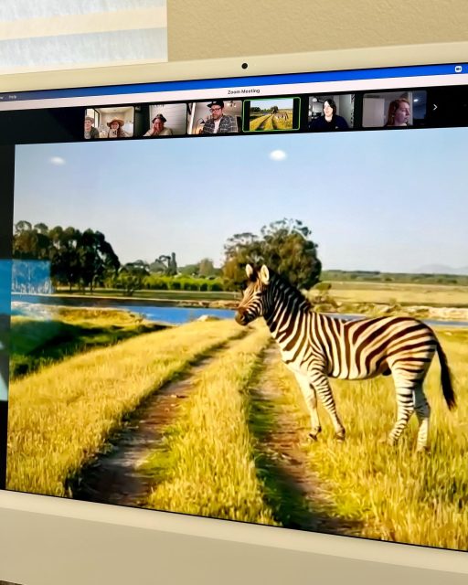Our team went on a live virtual safari in South Africa this week and we made all these new friends! 🦒🦓🦌🌿