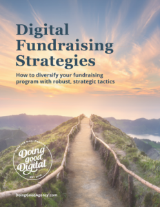 Digital Fundraising Strategies PDF Download Cover