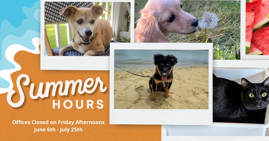 ☀️ Summer Hours Are Here! 🌴
Starting June 6 through July 25, our team will be signing off on Friday afternoons to soak up the summer and spend quality time with loved ones.
If you need urgent assistance during this time, please fill out our support request form provided by your consultant, and a team member will get back to you as soon as possible.