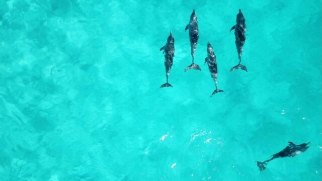 Before you hit “send” on your next fundraiser, pause and reflect. Are you reaching your full audience potential? Is your donation process frictionless? 

3 essential questions to ask before you launch your next nonprofit digital fundraising campaign in our latest blog post. Link in bio!