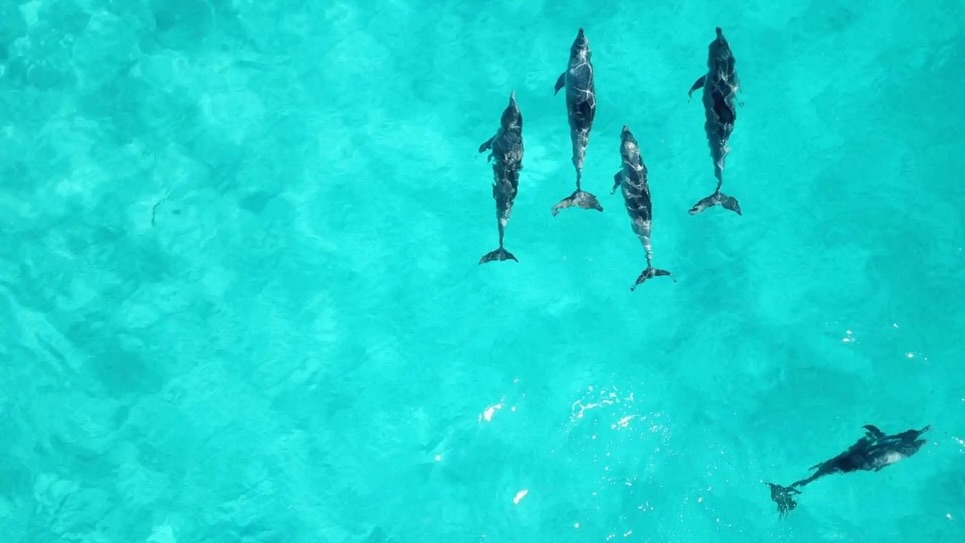 Before you hit “send” on your next fundraiser, pause and reflect. Are you reaching your full audience potential? Is your donation process frictionless? 

3 essential questions to ask before you launch your next nonprofit digital fundraising campaign in our latest blog post. Link in bio!