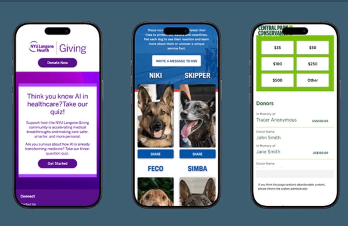 Take a closer look at some of the coolest things we’ve done this past year in @Blackbaud’s Luminate Online via our link in bio!
Featuring projects from:
- St. Joseph’s Indian School
- Central Park Conservancy
- Advocate Aurora Health
- NYU Langone Health
- Coast Guard Foundation
- HonorHealth
- Cancer Research Institute (CRI)
- Manning Family Children’s